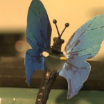 microsoftbutterfly